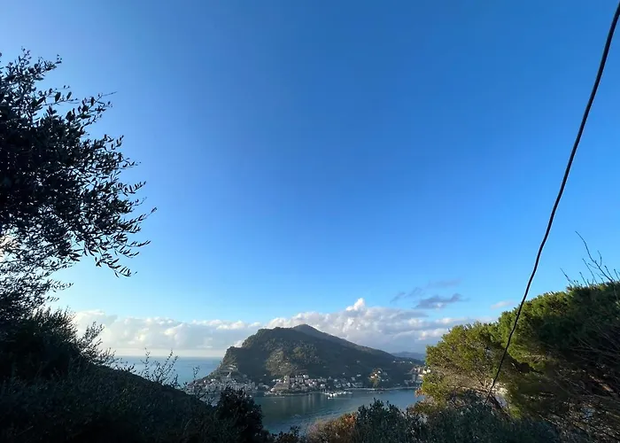 招待所 Lorena 韦内雷港